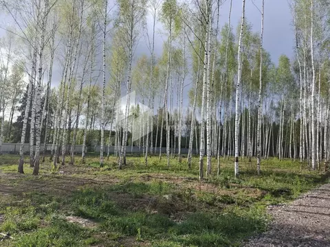 Участок в Москва Кристалл СНТ, 10 (7.5 сот.)