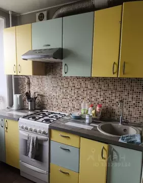 2-к кв. Московская область, Ногинск Богородский городской округ, ул. 8 ...