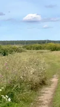 Участок в Челябинская область, Аргаяшский муниципальный округ, д. ...