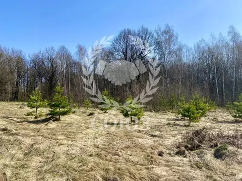 Участок в Калужская область, Дзержинский район, Старки с/пос, д. Бели  ...