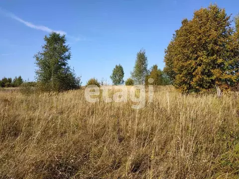Участок в Владимирская область, Меленковский муниципальный округ, д. ...