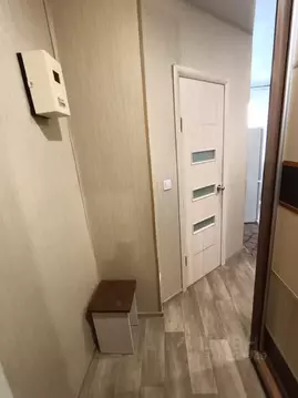 Студия Алтайский край, Барнаул ул. Сизова, 28/1 (25.0 м)