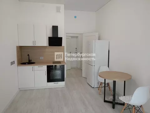 Студия Санкт-Петербург Дальневосточный просп., 23 (23.8 м)