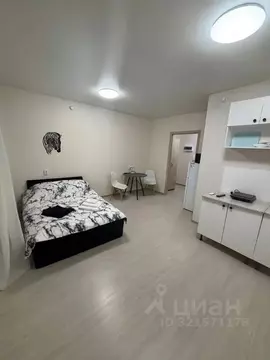 Студия Татарстан, Набережные Челны ул. Раскольникова, 18 (24.0 м)