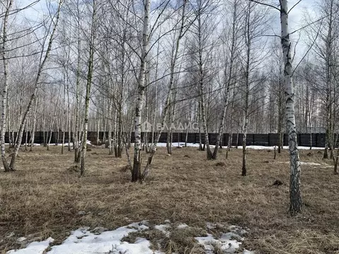 Участок в Воронежская область, Новоусманский район, с. Бабяково ул. ...