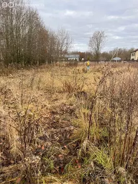 Участок в Ленинградская область, Гатчинский муниципальный округ, ...