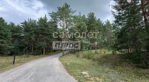 Участок в Рязанская область, Рязанский муниципальный округ, с. ...