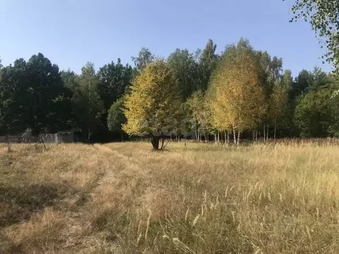 Участок в Костромская область, Костромской район, Самсоновское с/пос, ...