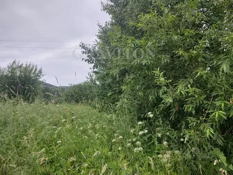 Участок в Алтай, Горно-Алтайск ГТФ СНТ,  (8.0 сот.)