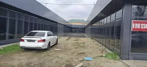 Помещение свободного назначения в Краснодарский край, Краснодар ...