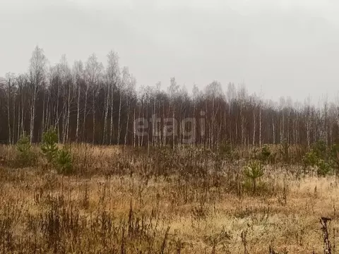 Участок в Татарстан, Пестречинский район, Шигалеевское с/пос, с. Новое ...