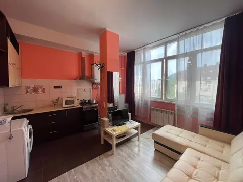 Студия Краснодарский край, Сочи Виноградная ул., 224/6 (25.0 м)