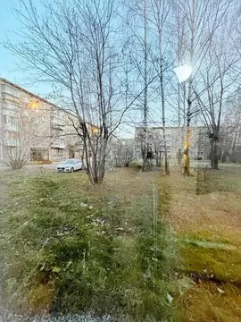 2-к кв. Свердловская область, Нижний Тагил ул. Щорса, 18 (43.7 м)