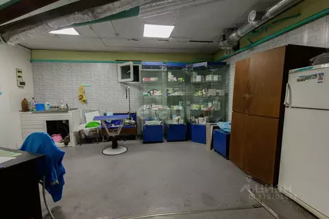 Помещение свободного назначения в Коми, Ухта просп. Ленина, 34 (58 м)