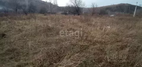 Участок в Алтайский край, Алтайский район, Айский сельсовет, с. Ая ул. ...