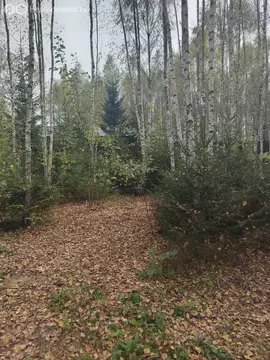 Участок в Московская область, городской округ Ступино, ТСН Шелково (10 ...