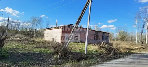 Торговая площадь в Московская область, Орехово-Зуевский городской ...