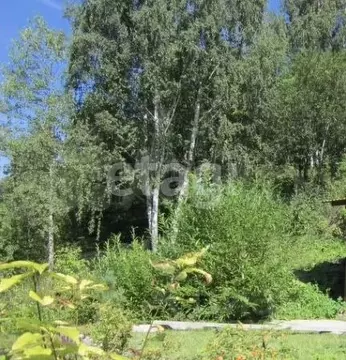 Участок в Пермский край, Пермь ул. Обросова (12.0 сот.)