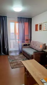 Студия Новосибирская область, Новосибирск ул. Забалуева, 102 (24.0 м)