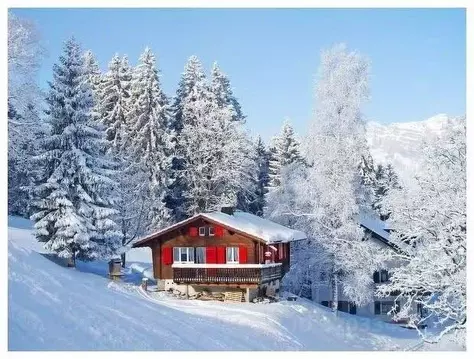 Участок в Ленинградская область, Волховский район, Усадищенское с/пос, ...