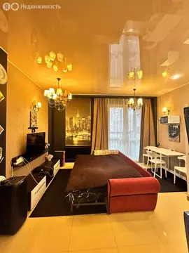 Квартира-студия: Щёлково, микрорайон Финский, 4А (27 м)