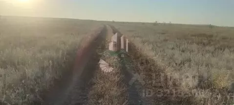 Участок в Саратовская область, Красноармейский район, Золотовское ...