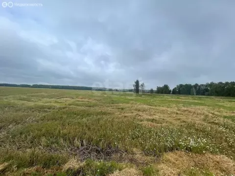 Участок в посёлок Омский, Тихорецкая улица (9.89 м)