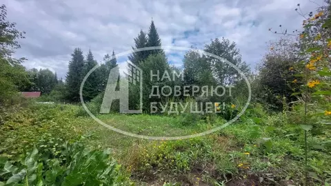 Дом в Пермский край, Чернушинский муниципальный округ, д. Ульяновка ...