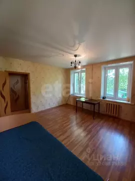 1-к кв. Владимирская область, Муром Мичуринская ул., 21 (29.8 м)