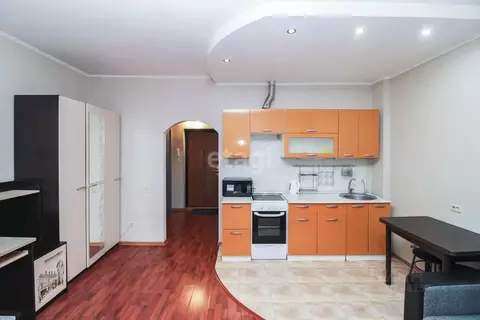 Студия Тюменская область, Тюмень ул. 50 лет ВЛКСМ, 15к1 (31.0 м)