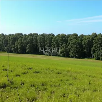 Участок в Нижегородская область, Шахунья городской округ, д. Большая ...