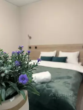 Комната Татарстан, Казань ул. Волкова, 52 (20.0 м)