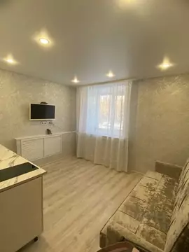 Студия Татарстан, Казань ул. Химиков, 45А (21.0 м)