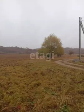 Участок в Амурская область, Благовещенский район, с. Чигири ...
