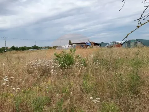 Участок в Крым, Сакский район, Молочненское с/пос, с. Витино ул. ...