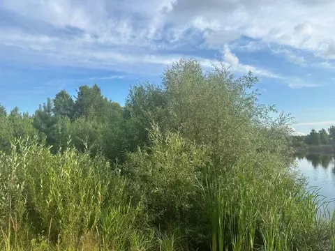 Участок в Нижегородская область, Арзамас городской округ, с. ...