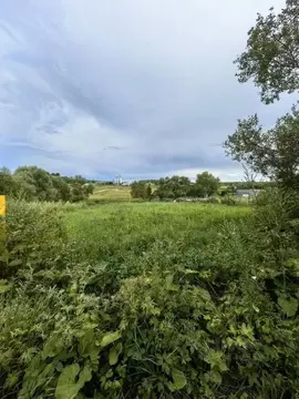 Участок в Тульская область, Алексин городской округ, с. Гурово  (15.0 ...