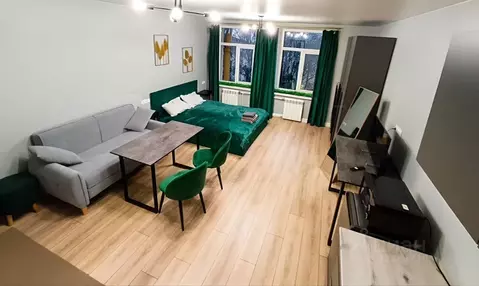 Студия Санкт-Петербург ул. Марата, 10 (27.0 м)