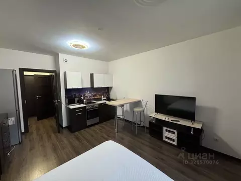 Студия Санкт-Петербург просп. Ветеранов, 173к7 (25.0 м)