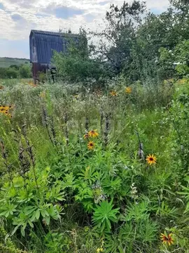 Участок в Белгородская область, Белгородский район, Бессоновское ...