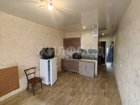 1-к кв. Новосибирская область, Новосибирск ул. Виктора Уса, 15 (19.7 ...