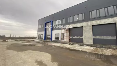 Помещение свободного назначения в Санкт-Петербург, Санкт-Петербург, ...