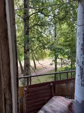 1-к кв. Санкт-Петербург Дачный просп., 9К7 (26.0 м)