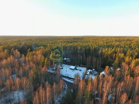 Участок в Ленинградская область, Выборгский район, Рощинское городское ...