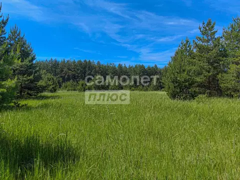 Участок в Ульяновская область, Чердаклинский район, ...