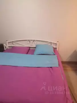 Студия Алтайский край, Барнаул ул. Энтузиастов, 65 (27.0 м)