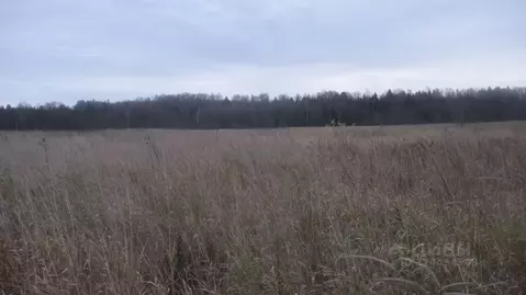 Участок в Московская область, Шаховская муниципальный округ, с. Белая ...