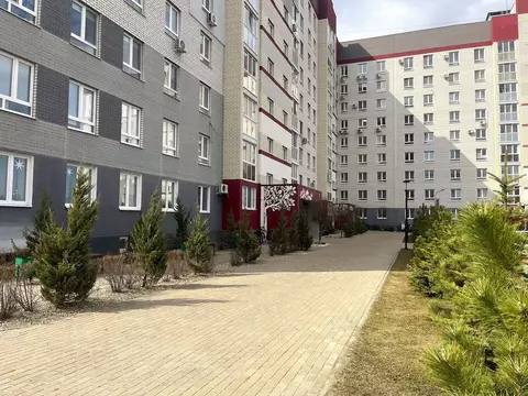 2-к кв. Брянская область, Брянск ул. Имени О.С. Визнюка, 14 (60.0 м)