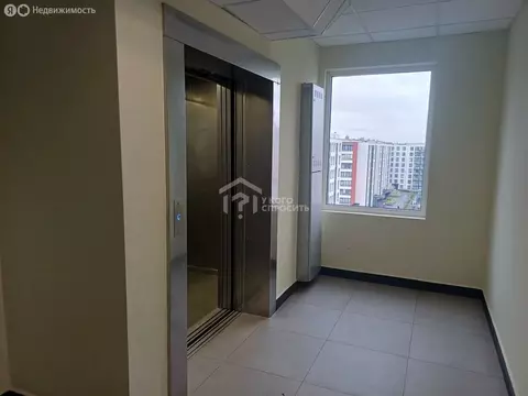 Квартира-студия: Санкт-Петербург, проспект Будённого, 23к5 (25.5 м)