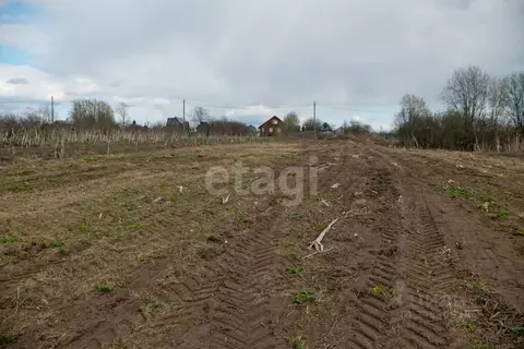 Участок в Вологодская область, Череповецкий район, Яргомжское с/пос, ...